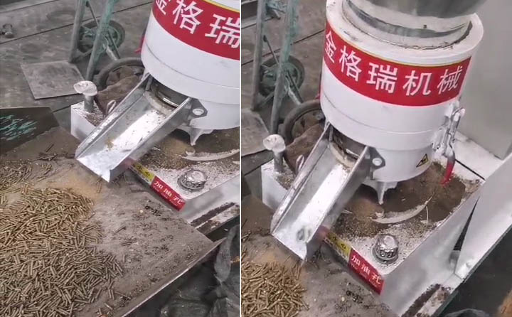 當天進入生產的金格瑞飼料顆粒機 當天進入生產的金格瑞飼料顆粒機