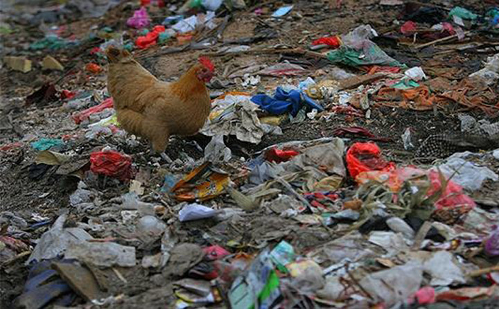 垃圾隨處亂放,環境臟亂差 垃圾隨處亂放,環境臟亂差