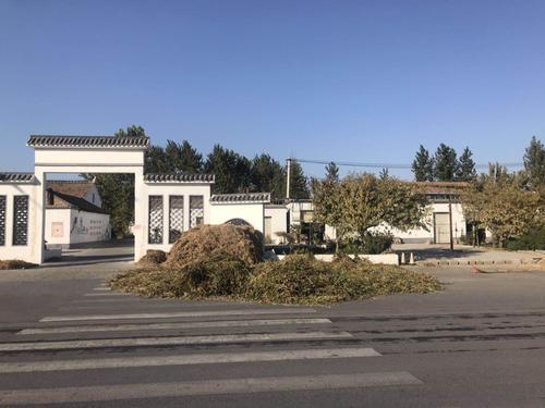 秸稈亂堆現(xiàn)象嚴重 秸稈亂堆現(xiàn)象嚴重