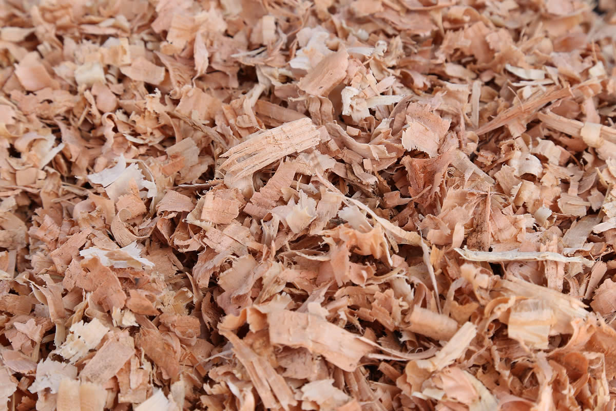 廢棄物資源豐富 廢棄物資源豐富