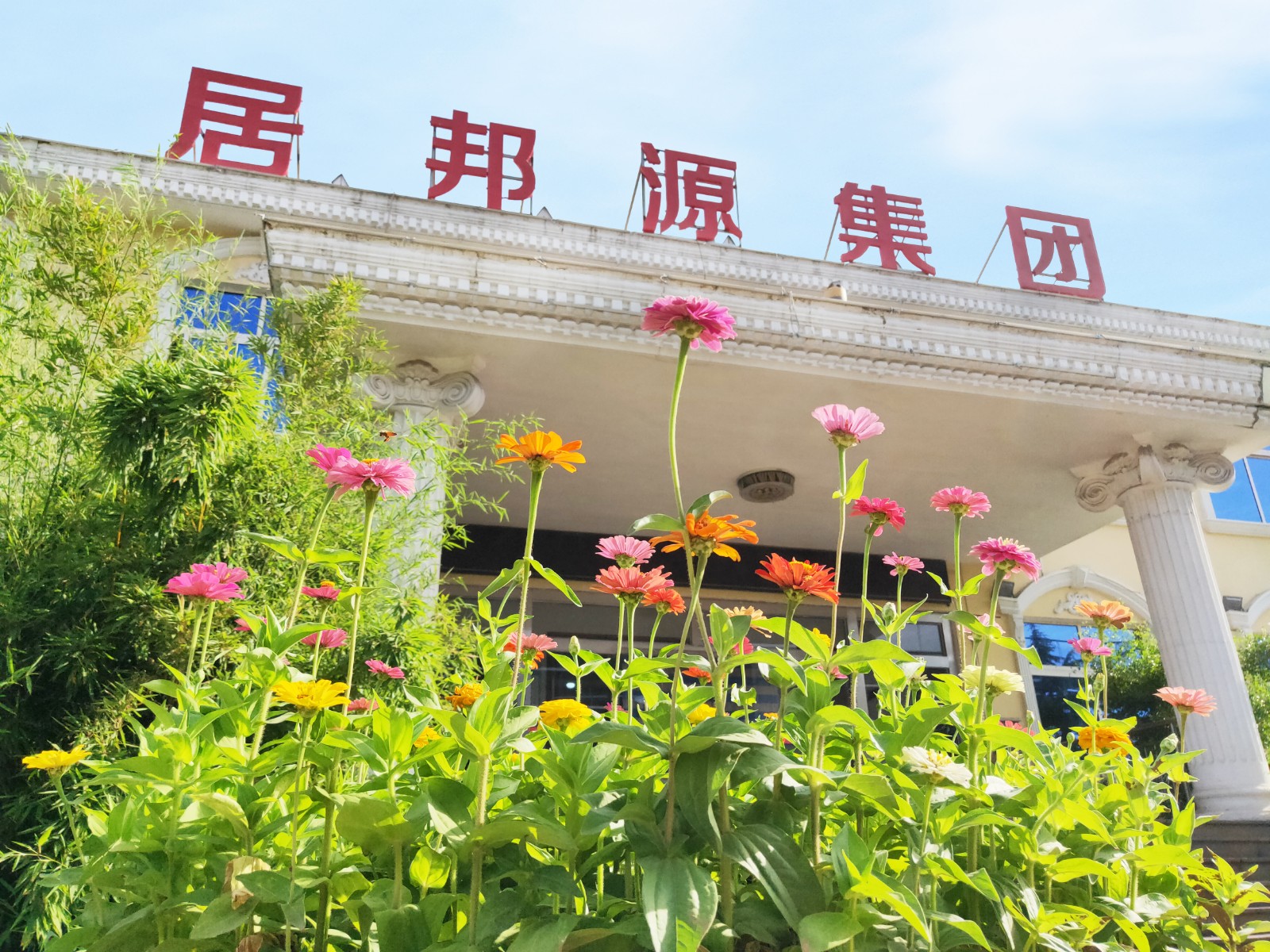 顆粒機廠家 顆粒機廠家