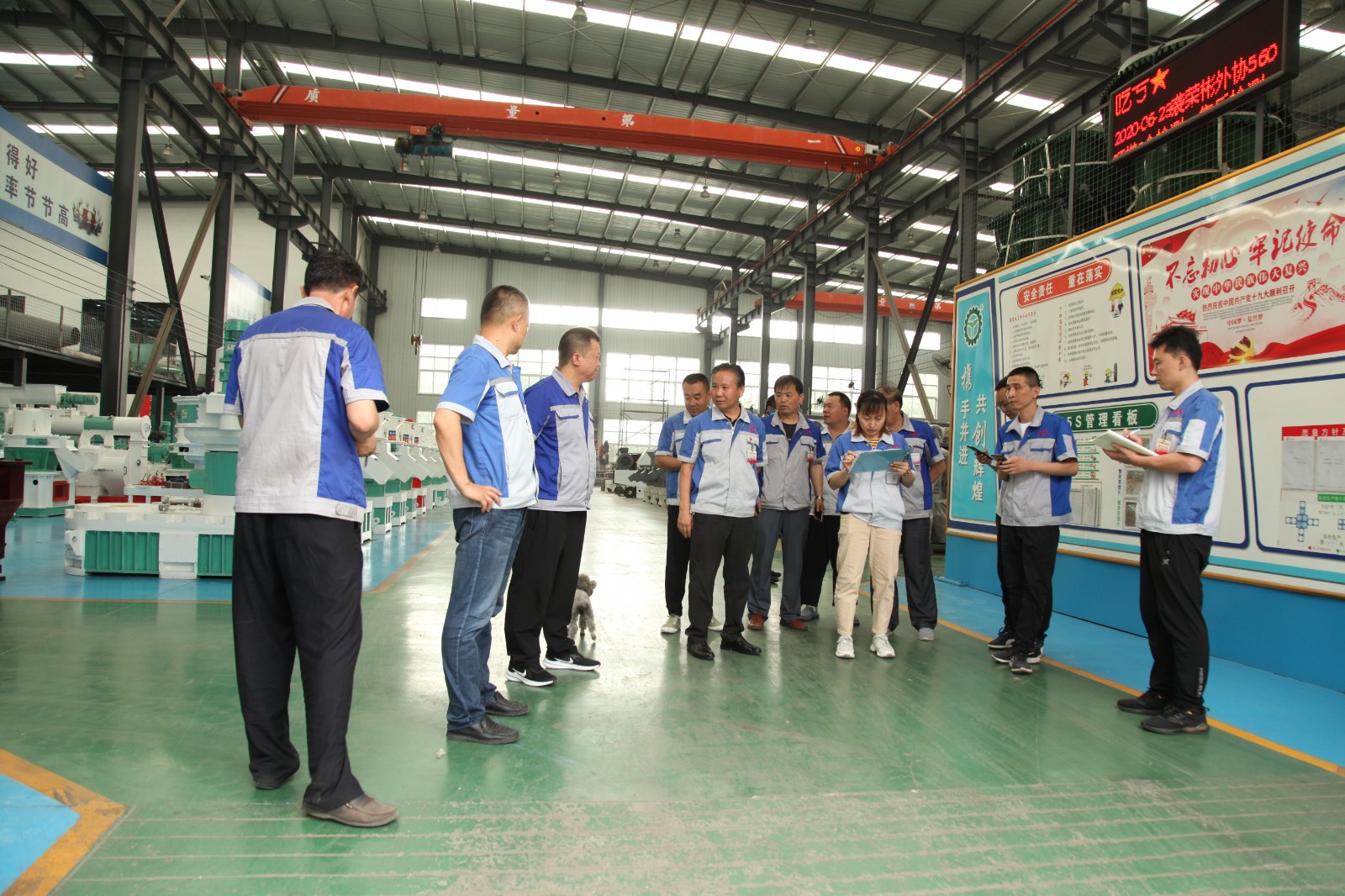 IMG_6001.JPG IMG_6001.JPG