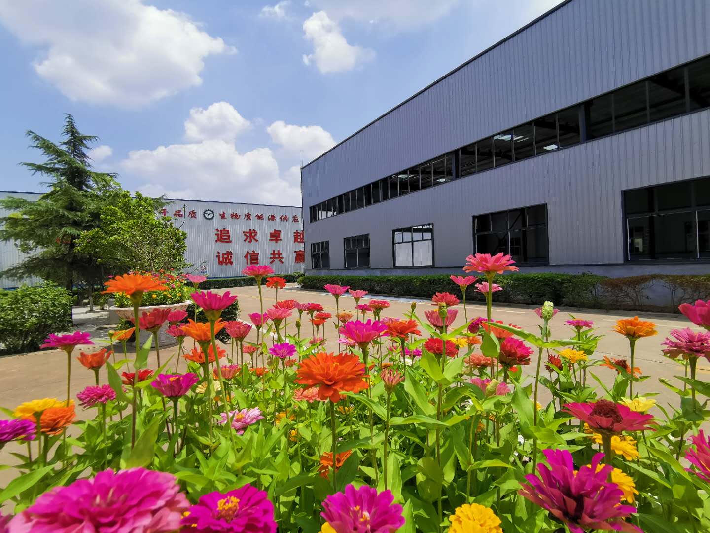 金格瑞顆粒機廠家憑實力說話 金格瑞顆粒機廠家憑實力說話