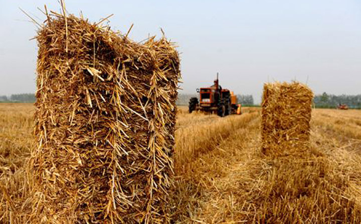 南陽(yáng)秸稈.jpg 南陽(yáng)秸稈.jpg