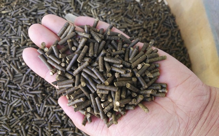 河南秸稈顆粒機(jī)加工的顆粒.jpg 河南秸稈顆粒機(jī)加工的顆粒.jpg