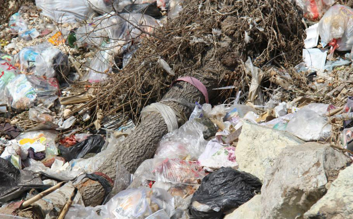 農(nóng)林廢棄物.jpg 農(nóng)林廢棄物.jpg