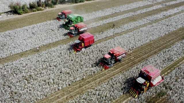 機(jī)械化采摘的新疆棉花收獲場(chǎng)景 機(jī)械化采摘的新疆棉花收獲場(chǎng)景