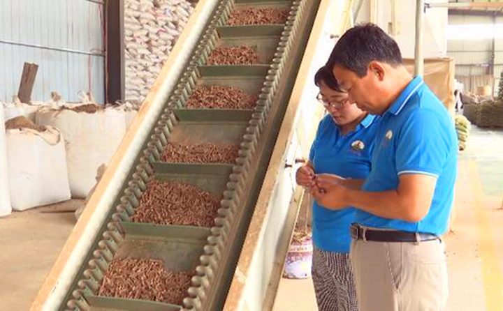 濰坊以木屑造粒機(jī)讓農(nóng)林廢棄物“變廢為寶”,秸稈、果樹(shù)枝變成顆粒燃料!.jpg 濰坊以木屑造粒機(jī)讓農(nóng)林廢棄物“變廢為寶”,秸稈、果樹(shù)枝變成顆粒燃料!.jpg