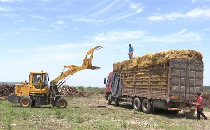 我們?cè)谑斋@了莊家后,可以將秸稈和農(nóng)林廢棄物都送到公司來(lái)。一方面保證了村里的潔凈環(huán)境,另一方面也得到了一部分收入,一舉兩得.jpg 我們?cè)谑斋@了莊家后,可以將秸稈和農(nóng)林廢棄物都送到公司來(lái)。一方面保證了村里的潔凈環(huán)境,另一方面也得到了一部分收入,一舉兩得.jpg