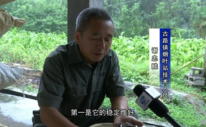 緊緊抓住木屑造粒機生物質顆粒燃料加工場地建設項目落地的契機,找準結合點,推動共和綜合服務型煙農專業合作社與生物質顆粒燃料加工廠的緊密合作.jpg 緊緊抓住木屑造粒機生物質顆粒燃料加工場地建設項目落地的契機,找準結合點,推動共和綜合服務型煙農專業合作社與生物質顆粒燃料加工廠的緊密合作.jpg